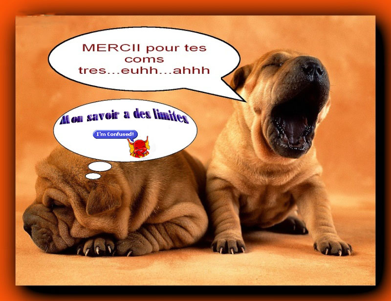 Fichier hébergé par Archive-Host.com